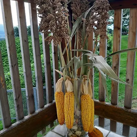 Διαμέρισμα Urschitz Eichberg (Leibnitz)