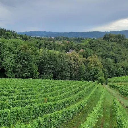 Appartement Urschitz *