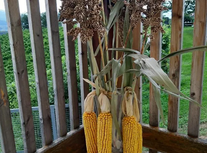 公寓 Urschitz Eichberg (Leibnitz)