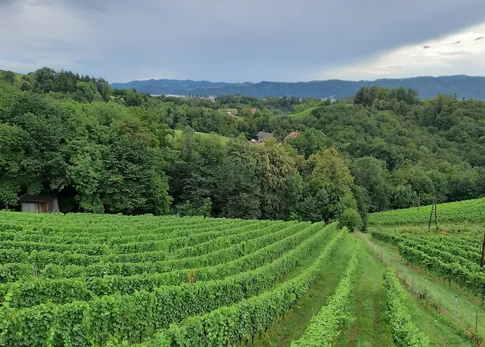 Appartement Urschitz *