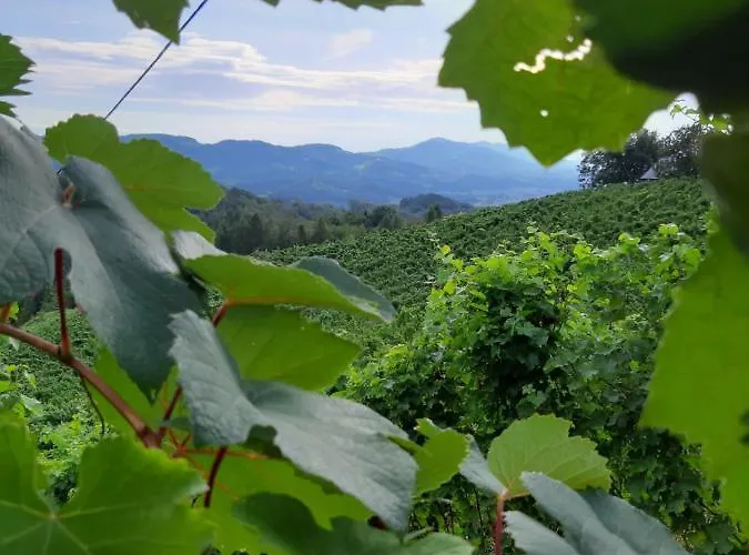 Urschitz 公寓 Eichberg (Leibnitz)